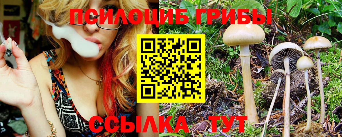 Асбест  магазин продажи наркотиков  Вход с VPN  Псилоцибиновые грибы Cubensis 